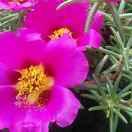 50后的农村生活