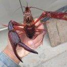 🌈       天道酬勤