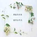 自由自在松滋华哥