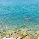 撒泼耍赖有糖吃