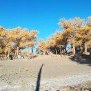 我一直在路上…