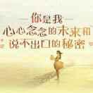 向曰葵