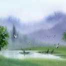 金江融苑，瑞园，安仕国