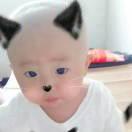 开心心每一天dd