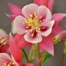 🦅🦅徐濤🐉🐉