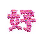 明天会更好