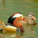 土生土长的兰州娃。