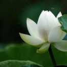 风和日丽