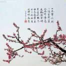 浮殇年華