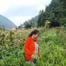 开心过好每一天.