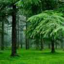 想亲想爱一家人