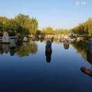 专业货拉拉司机