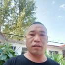 龙龙