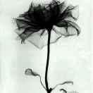 静静家农产品店