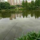 永不放弃