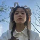 不听话的猫