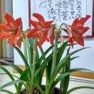钢结构制作安装