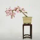 (◕ˇ∀ˇ◕)人生百态(◕ˇ∀ˇ◕)