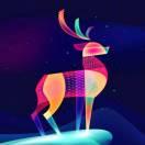 D(៸៸᳐⦁⩊⦁៸៸᳐ )੭