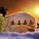 春华秋实