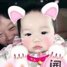 杨细毛