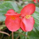 心若在，梦就在