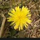 🤠汝你所愿🤠