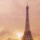 火火🔥红红红包