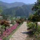 陌路Σ(っ °Д °;)っ殊途