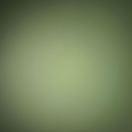 跑不瘦的徐胖子