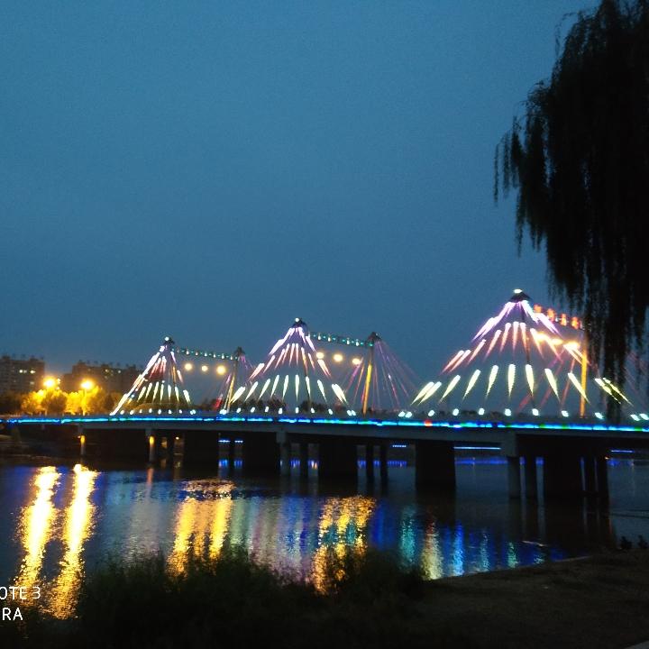 杨哥乒乓