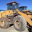 佳人伴我左右，张