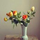 🍀🍀虚🌷🌷空🌸🌸🌸