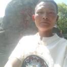 毒蛇独来独往从来没有人关心过我