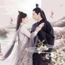 看透爱情看透了你
