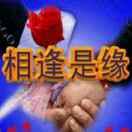 云海游龙