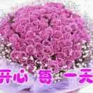 腊月梅