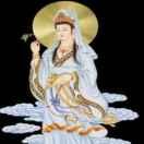 都