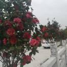 &满嘴脏话的男人最心软@