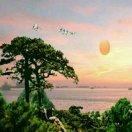 厚德载物（晚8点10分开播）