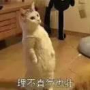 落花
