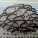 秋天的风83695
