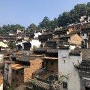 纳爱斯品质生活推荐官熊姐