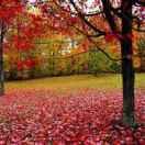 每天开心一点点