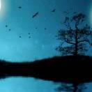 平淡一生上1736301396