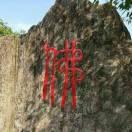 明天会更好