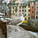 天之骄子，唯我乾坤