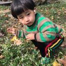菊妹