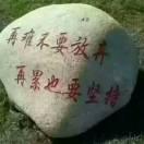 奋斗wei肥哥