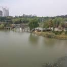 阳光